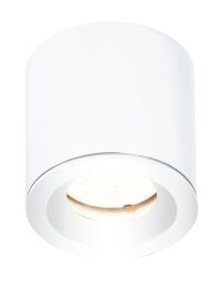Form C0215 Lampa Sufitowa Biała Ip65 Maxlight