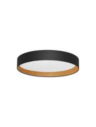 ROSITA LE43588 lampa sufitowa LED Luces Exclusivas - MEGA rabaty w Koszyku %
