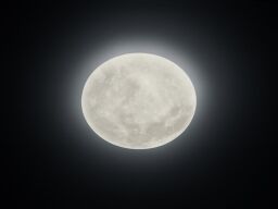 627514000 PLAFON LUNAR - Mega RABATY W KOSZYKU %