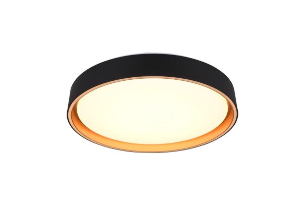 FELIS R64391080 lampa sufitowa RL - Mega RABATY W KOSZYKU %