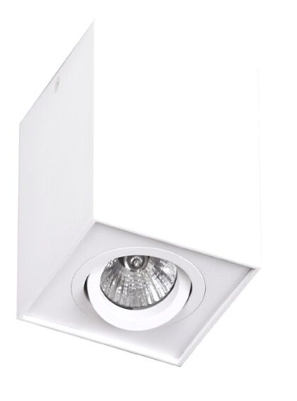 Basic Square White C0070 plafon Maxlight