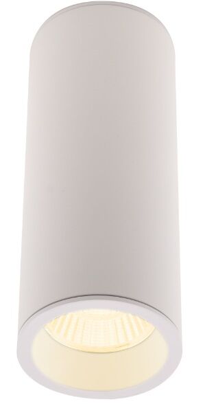 Long C0153 lampa sufitowa/plafon okrągły biały Maxlight