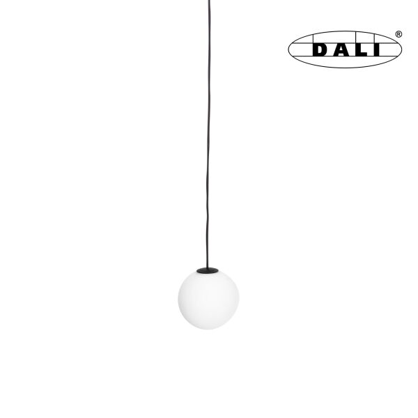 Magnetic M0017D Lampa Wisząca  Magnetyczna System Dali 6W 525LM 3000K Maxlight 