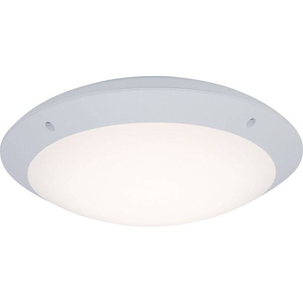 G96053/05 Zewnętrzna lampa ścienna i sufitowa LED Medway, 31 cm, biała
