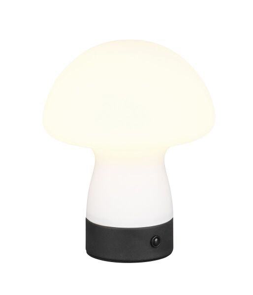 R54981131 DOOLEY lampa stołowa RL - Mega RABATY w koszyku %
