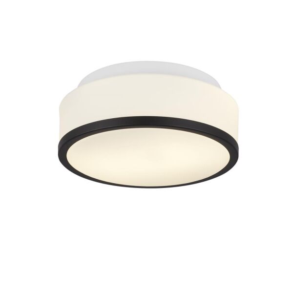7039-23BK Cheese 2LT Flush - czarny, biały szkło Shade, IP44 Searchlight