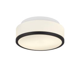 7039-23BK Cheese 2LT Flush - czarny, biały szkło Shade, IP44 Searchlight