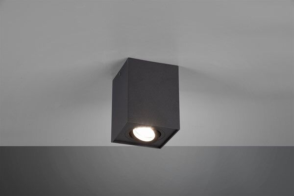 613000132 BISCUIT Lampa - Mega RABATY W KOSZYKU %